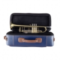19072V Professional Trumpet in Case