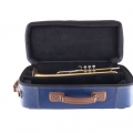 190L65GV Professional Trumpet in Case