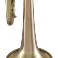 17043GYR Professional Trumpet