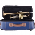 190L65GV Professional Trumpet on Case