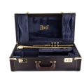 17043GYR Professional Trumpet in Case